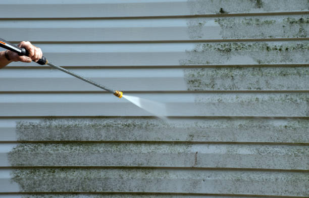 Best Restaurant Pressure Washing  in Sheldon, IL