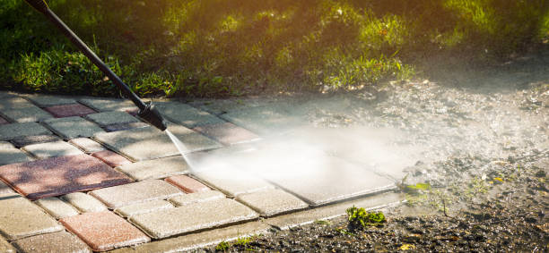 Best Soft Washing  in Sheldon, IL