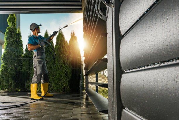 Best Sidewalk and Walkway Cleaning  in Sheldon, IL